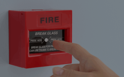 Dein Nervensystem: ein brillanter Analytiker, der ständig den Feueralarm drückt